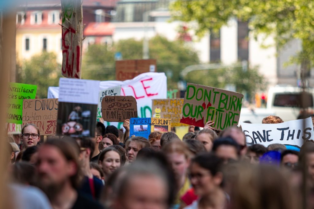 demonstration fridays for future 4891280